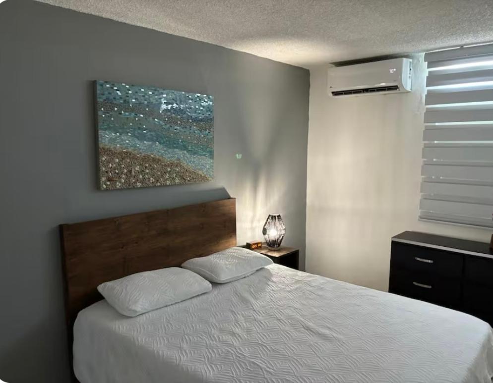 Private Apartment Near Sju Solar Battery 卡罗莱纳 外观 照片